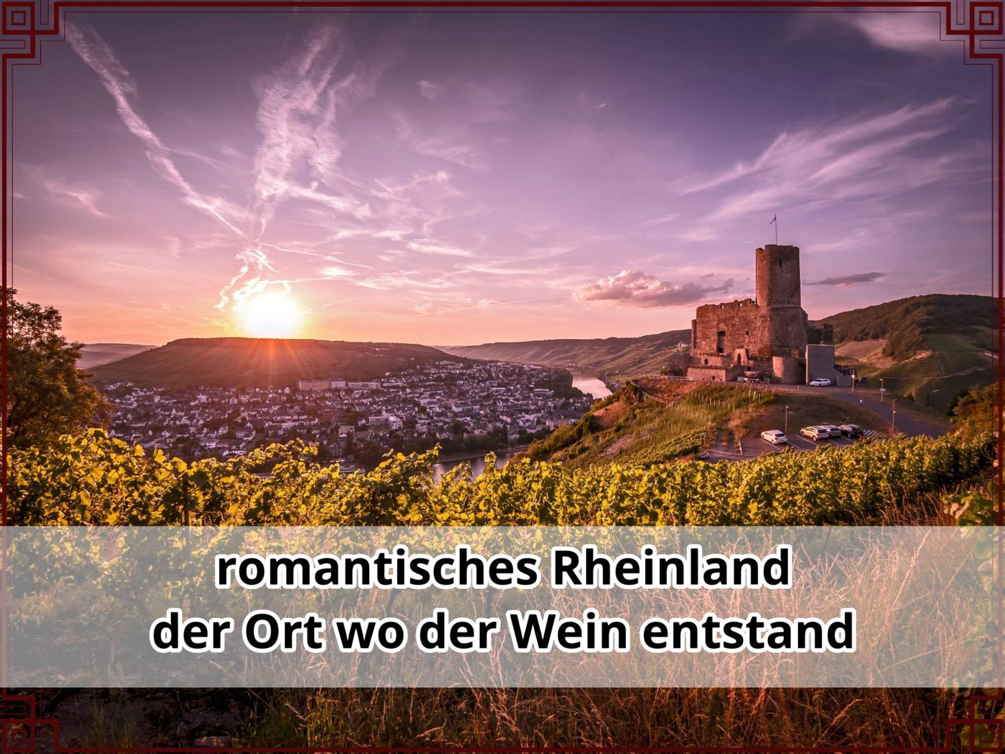 Smallsaigon Apartment Mit Guter Anbindung Zwischen Mosel Und Rhein Leiningen 외부 사진